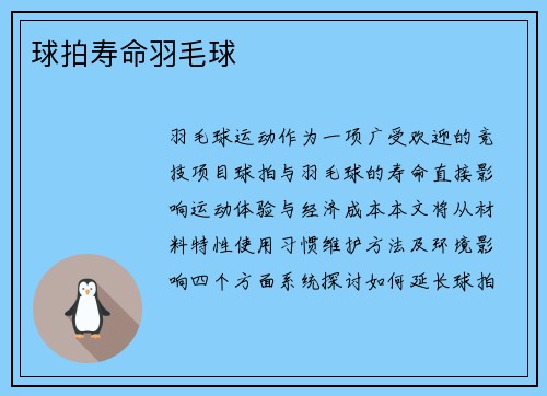 球拍寿命羽毛球